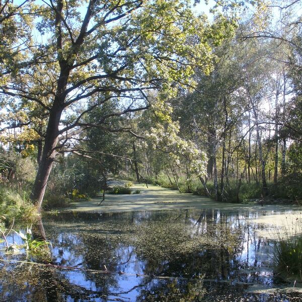 Naturpark Peenetal